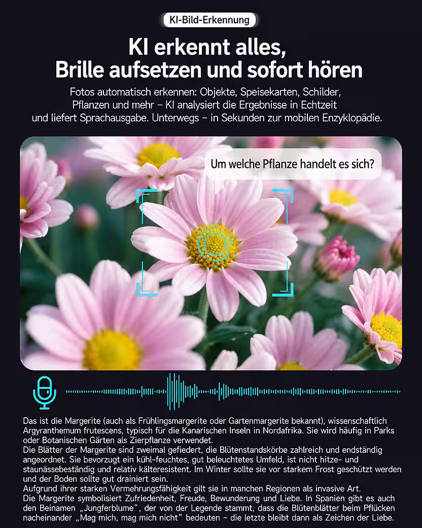 AI Smart Brille mit Kamera – 8 MP, Bluetooth & Sprachassistent