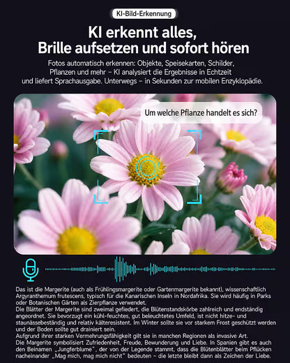 AI Smart Brille mit Kamera – 8 MP, Bluetooth & Sprachassistent